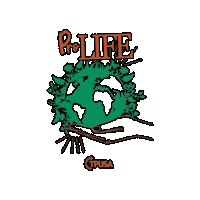 Pro Choice Baby Sticker by TPUSA Events