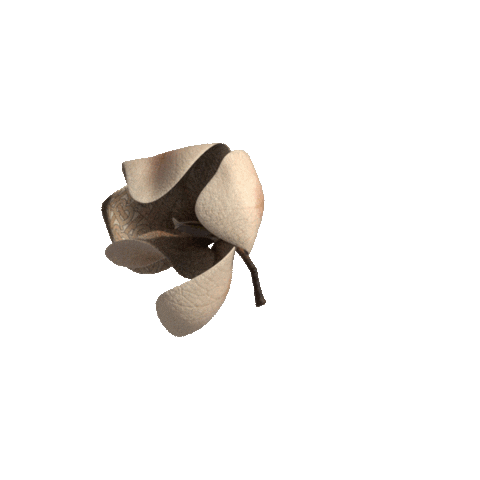 3D Sticker by Burberry