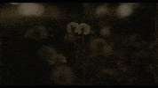Mike Kinsella Night GIF by Polyvinyl Records