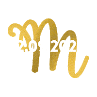 Save The Date Camera Sticker by Esther Laut