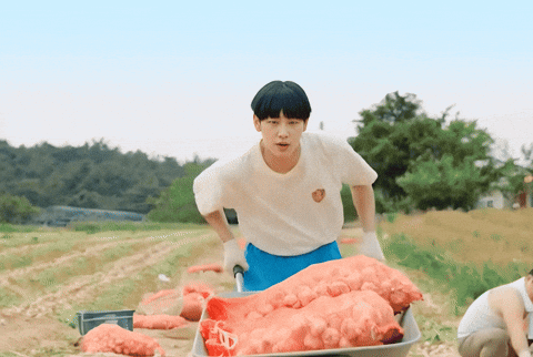 Boyhood GIF