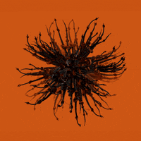xponentialdesign halloween loop orange creepy GIF