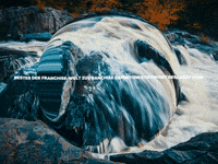Enjoy Lol GIF by FranchiseONE.de