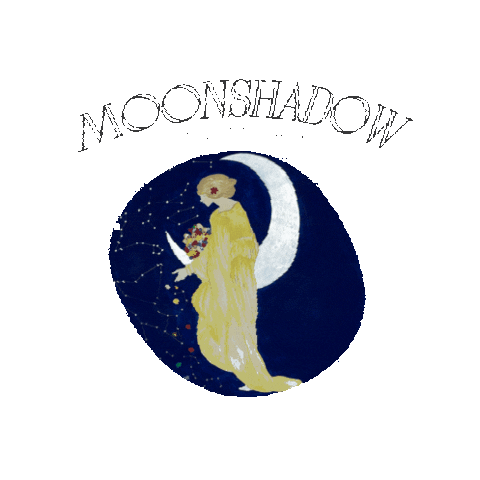 MoonshadowFest giphygifmaker moonshadow moonshadowfestival moonshadowfest Sticker