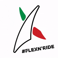 eqflexia sport horse jumping eq GIF