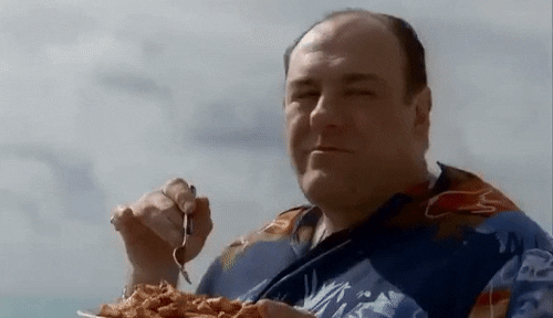 aldoguerra5771761e11204ccb9d8b057d238e4b57 giphyupload soprano GIF