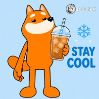 Crypto Solana GIF by BONK