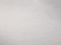 Andrew Yang Lol GIF by ALL SEEING EYES