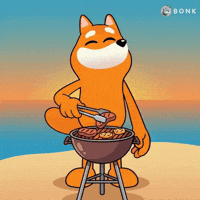 Crypto Solana GIF by BONK