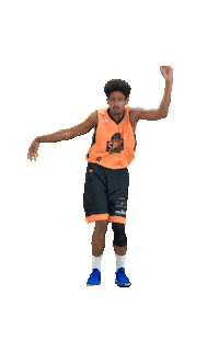 SPDC cbb wilson basquete basquetebol Sticker