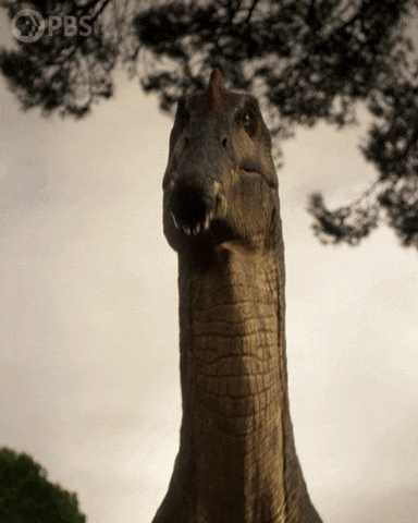 Teeth Dinosaur GIF by PBS