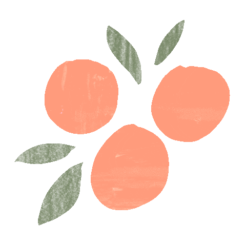 louisegouet giphyupload orange fruit peach Sticker