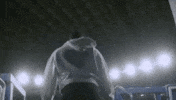 Blue Jays Baseball GIF by Toronto Blue Jays
