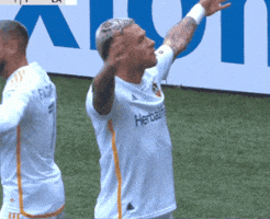 Vamos La Galaxy GIF by Major League Soccer