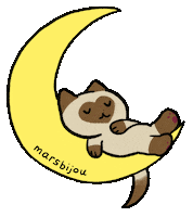 Siamese Cat Sticker