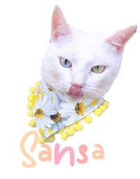 Cat Sticker