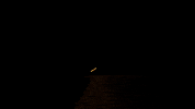 Girl Fire GIF by Cherry Johnson