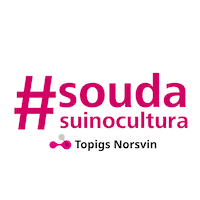 TopigsNorsvin duroc topigs tn70 topigs norsvin Sticker