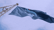 National Hockey League Sport GIF by Seattle Kraken