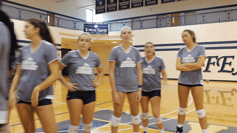 vwu_marlins giphyupload marlins vwu wethebeach GIF