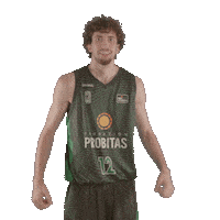 Celebrate Liga Endesa Sticker by ACB
