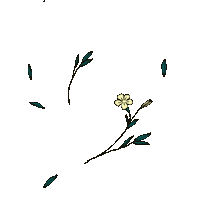 LeQuartierAnime flowers 2danimation animatedillustration hellfest2022 Sticker