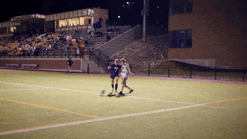 Womens Soccer GIF by Norwich University