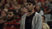 wswanderersfc reaction football celebration goal GIF