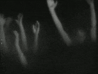 ugh spreading it out f. w. murnau GIF by Maudit