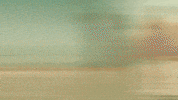 GIF by Meta
