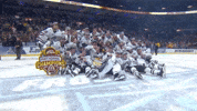 National Championship Wmu GIF by TheDreamTeam 