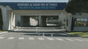 redbullracing france 2019 f1 motorsport GIF