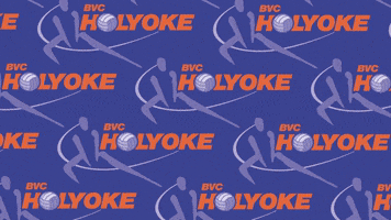 Volleyball Nova GIF by BVC Holyoke