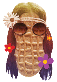 Nutterbutter flower cookie groovy 60s Sticker
