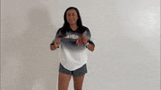 thealliancefastpitch softball fastpitch the alliance fastpitch alliance fastpitch GIF