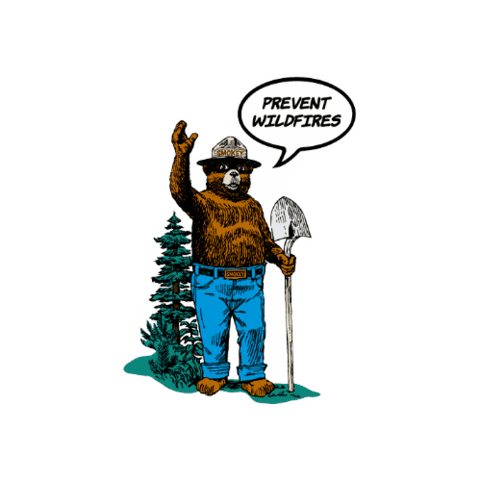 YCSL giphygifmaker bear smokey 곰 Sticker