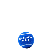Tennis Sticker by Blu Scarpa