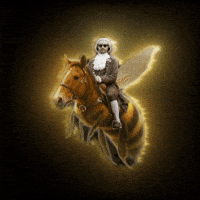 Bumble Bee Horse GIF