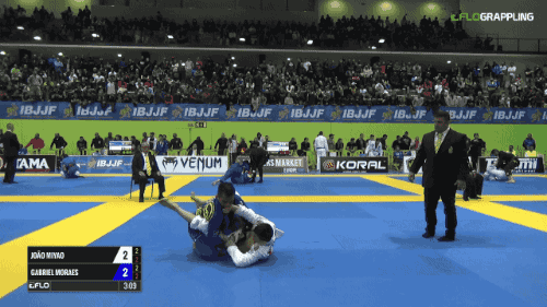 Jiujitsu GIF by flograppling