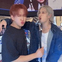 Stray Kids Skz GIF