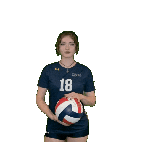 Womens Volleyball Sticker by Clarke University