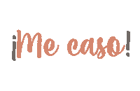 Bride Love Sticker by Estefania Canales Wedding Coach