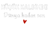 Sumktn Baby Sticker