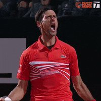 djokovic GIF by Tennis Channel