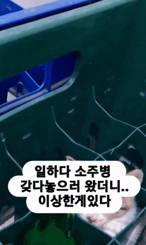 uuusssuuu giphyupload GIF