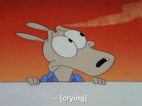 rockos modern life nicksplat GIF