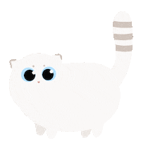 Cat Waiting Sticker