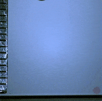 GIF by Digg