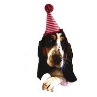 Basset Hound Love Sticker