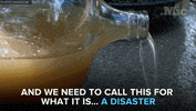 drinking water news GIF